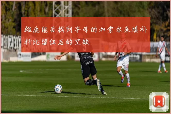 雄鹿能否找到字母的加索尔来填补科比留住后的空缺