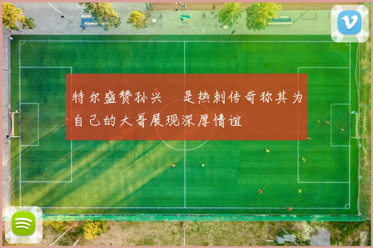 特尔盛赞孙兴慜是热刺传奇称其为自己的大哥展现深厚情谊