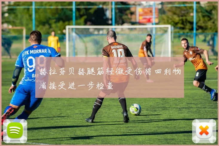 赫拉芬贝赫腿筋轻微受伤将回利物浦接受进一步检查