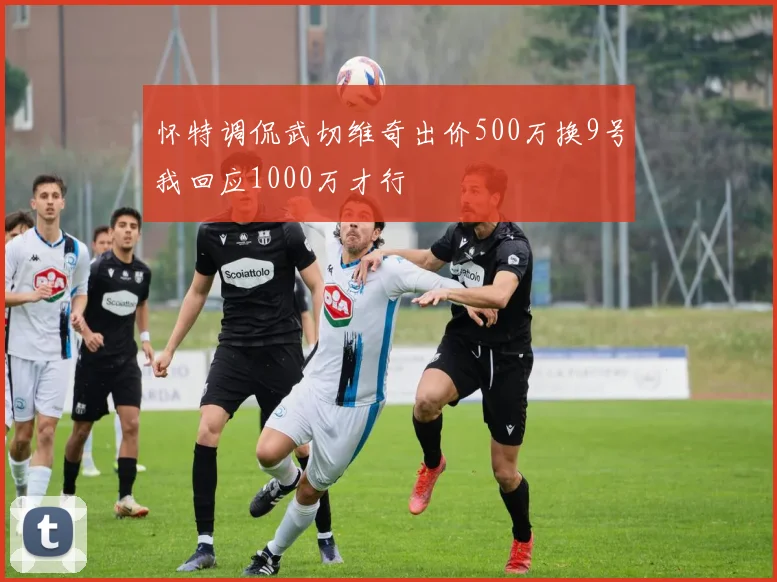 怀特调侃武切维奇出价500万换9号我回应1000万才行