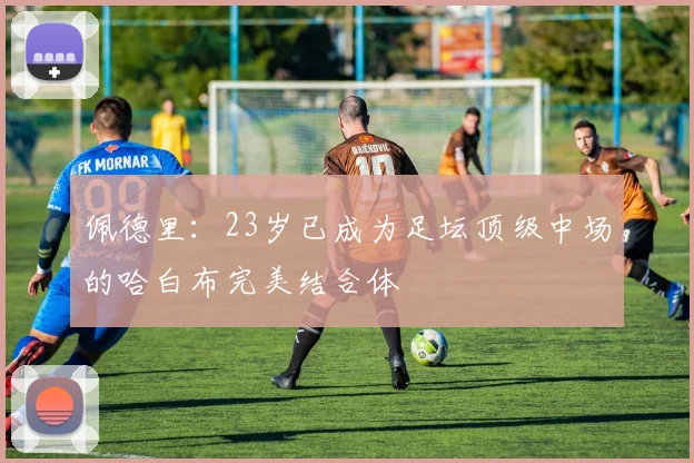 佩德里：23岁已成为足坛顶级中场的哈白布完美结合体