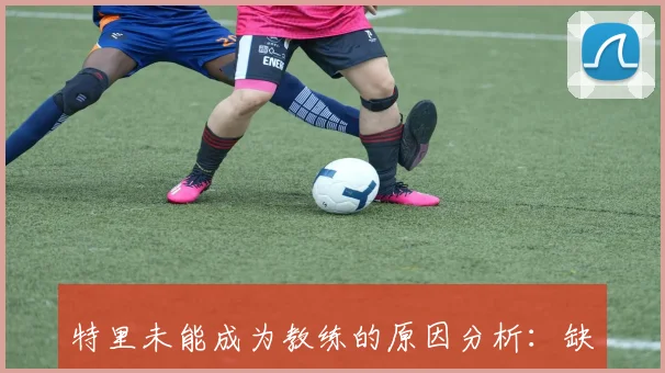 特里未能成为教练的原因分析：缺乏从基层扎根的坚持与正确的实现方式